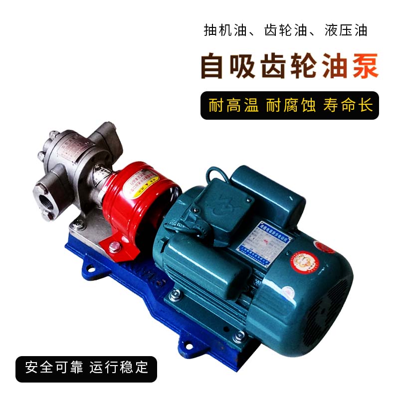 食品级304不锈钢齿轮泵电机220V380V大流量自吸抽油泵可选防爆电