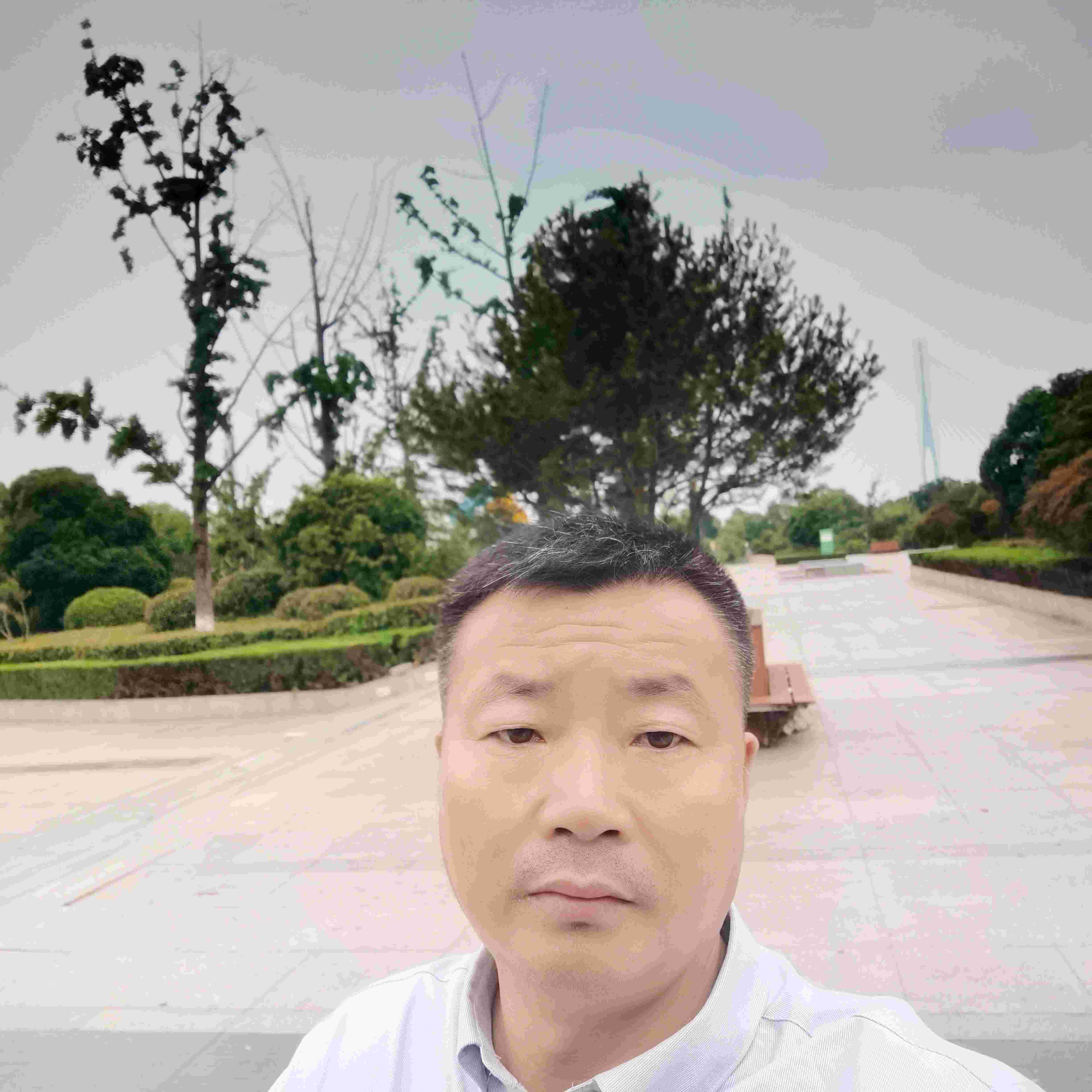 刘海